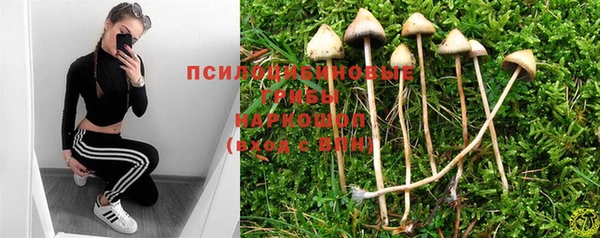 кристаллы Алзамай