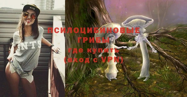 mdpv Алексин